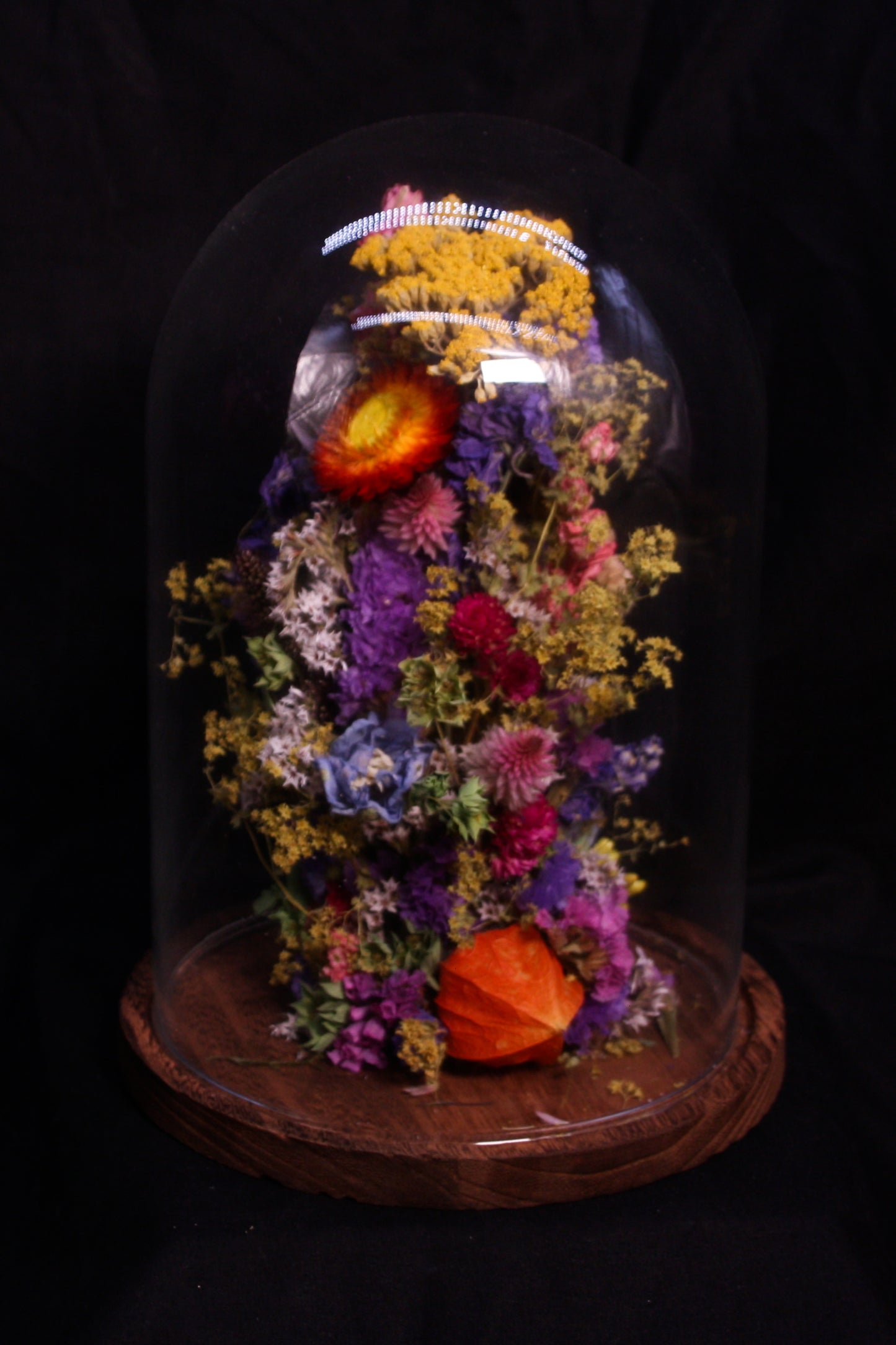 Cloche de fleurs séchées - Cabaret normand