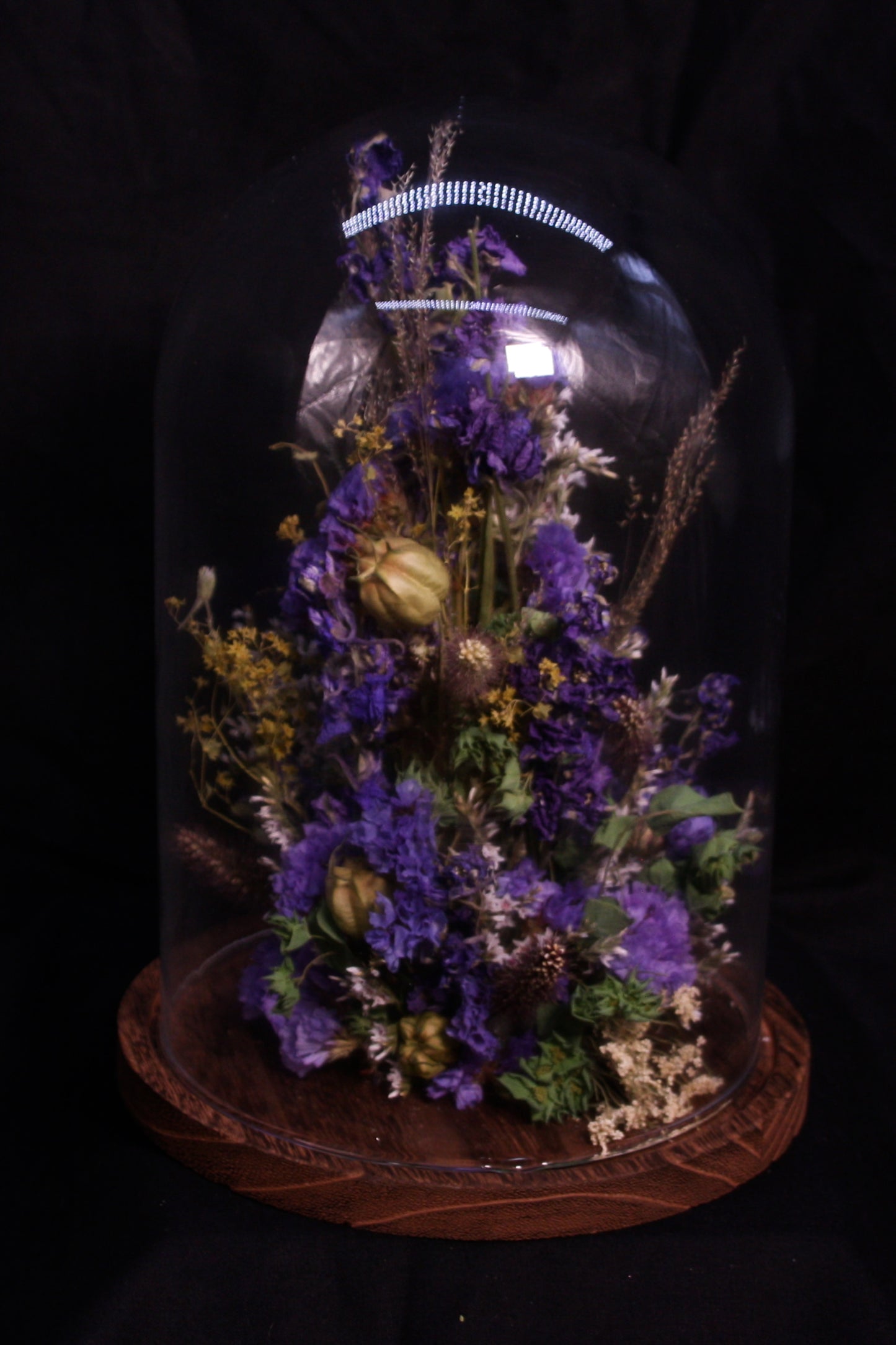 Cloche de fleurs séchées - Clarence à la mer