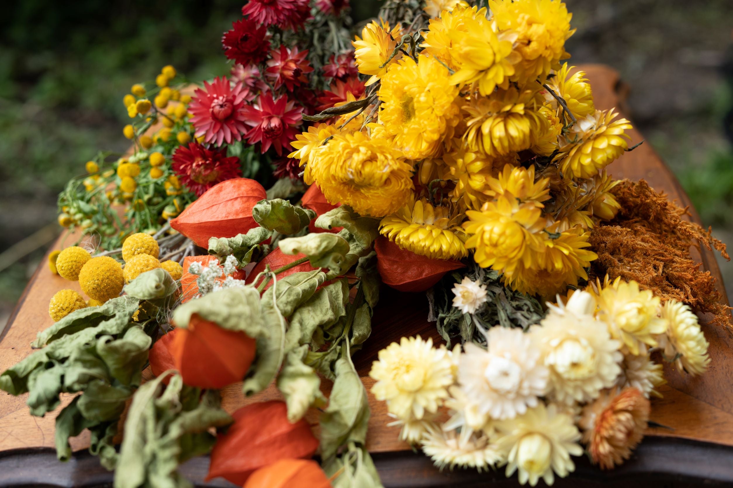 Bottes de fleurs séchées françaises locales bio de la ferme florale Fleurs de la clarté immortelle craspédia globosa tanaisie