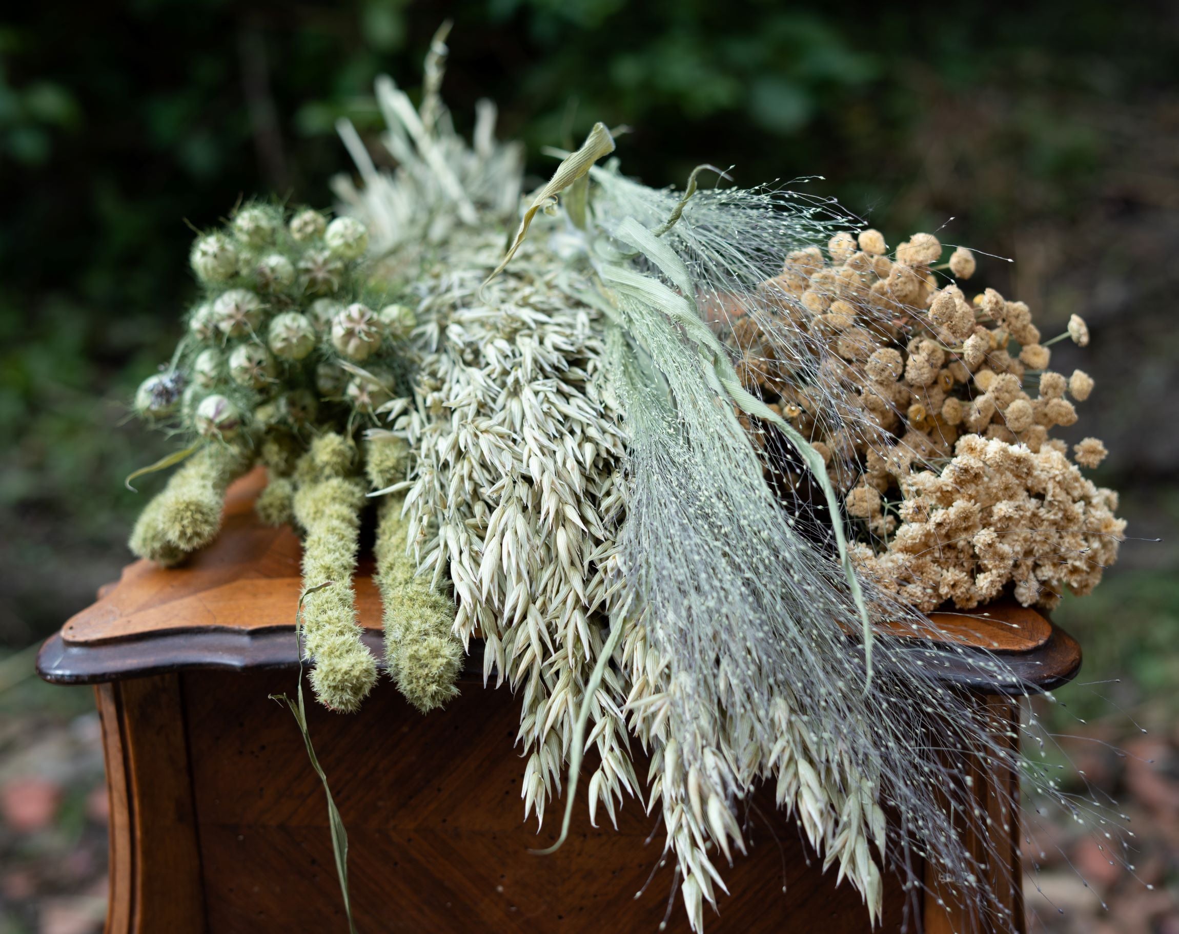 Bottes de fleurs séchées françaises locales bio de la ferme florale Fleurs de la clarté amarante avoine nigelle de damas matricaire