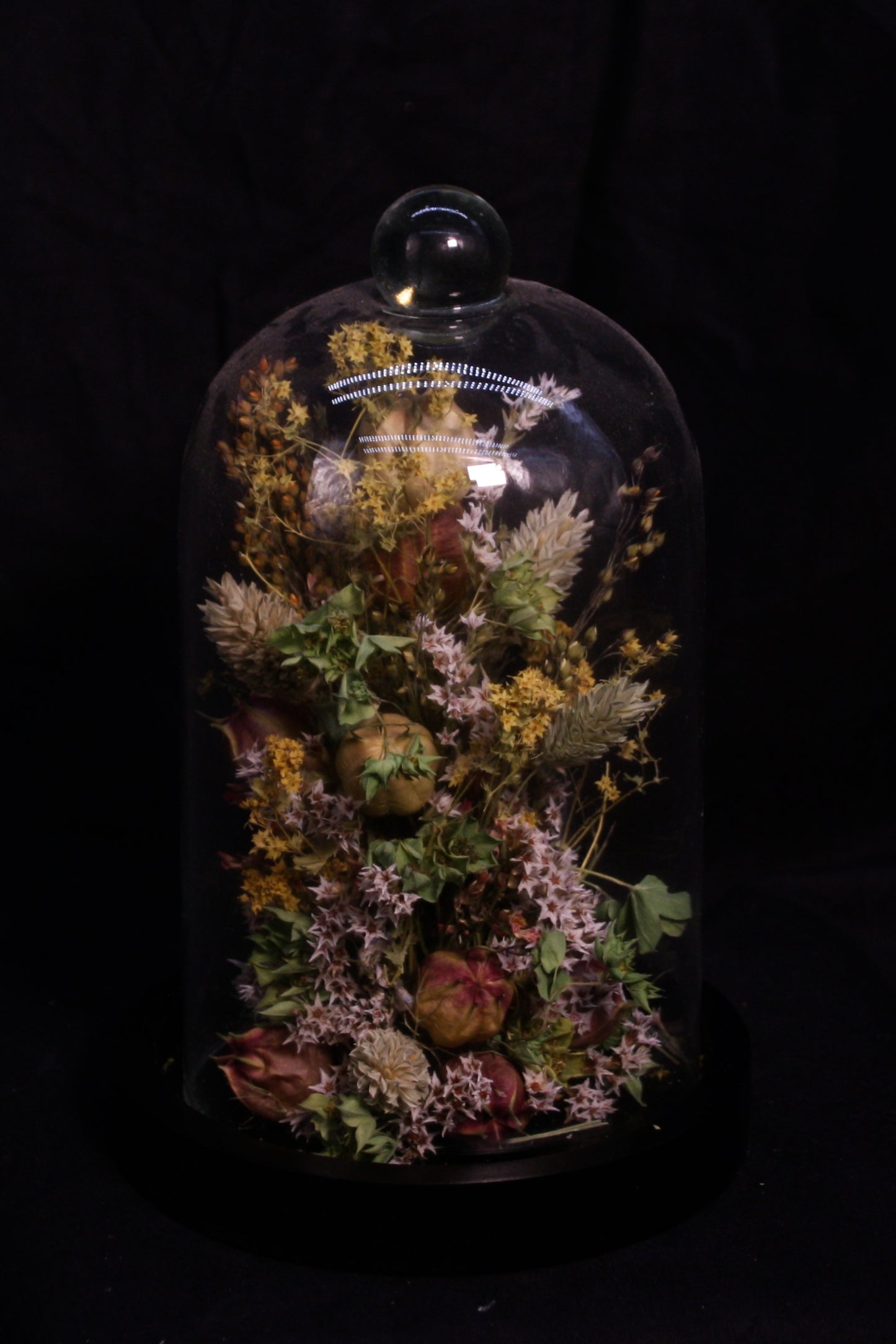 Cloche de fleurs séchées - Thomas forêt