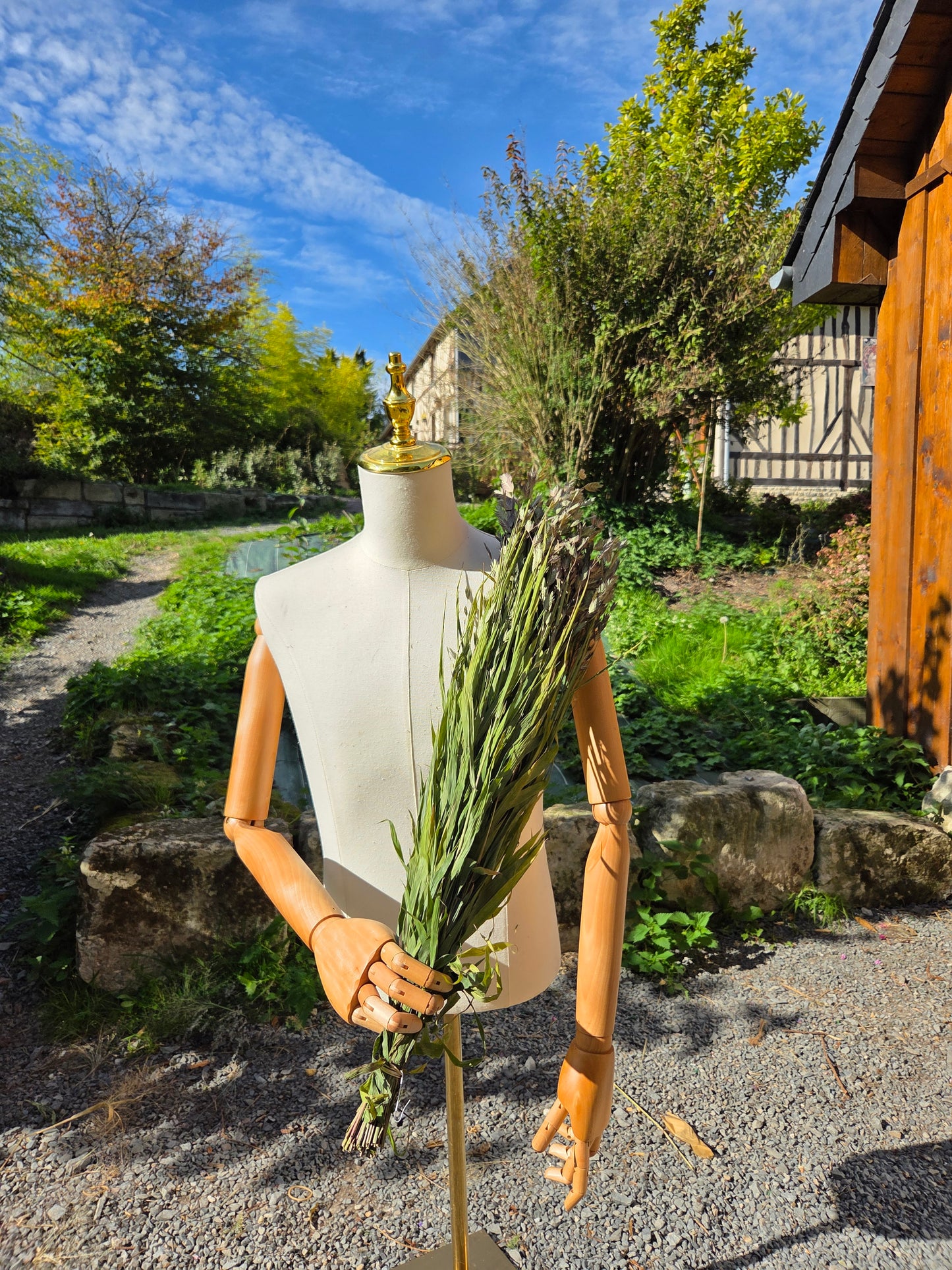 Chasmanthium séché