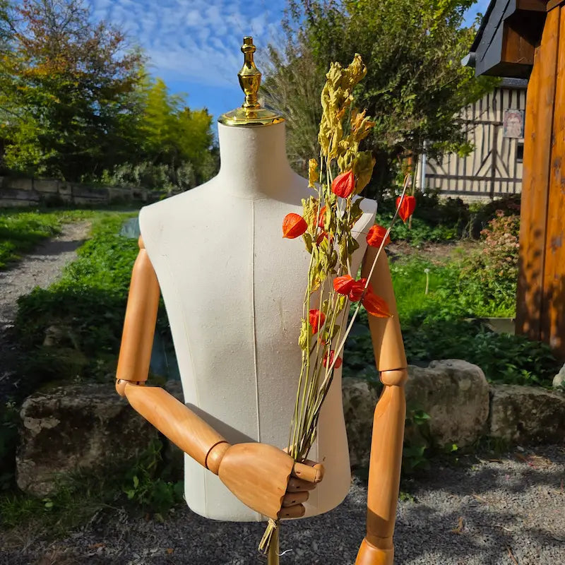 Projet de loisir créatif insolite : détournement habile du calice de Physalis séché pour créer une guirlande lumineuse d'automne féérique.