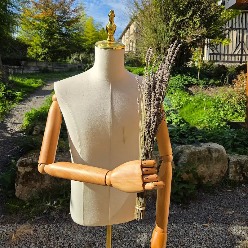 Faisceau dense de Lavande cultivée écologiquement en France, non traitée, respectant scrupuleusement le travail des abeilles lors de sa floraison estivale.