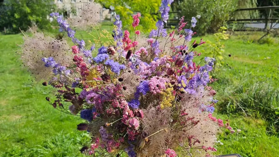 Comment conserver un bouquet de fleurs séchées ? Le Guide Ultime du Producteur