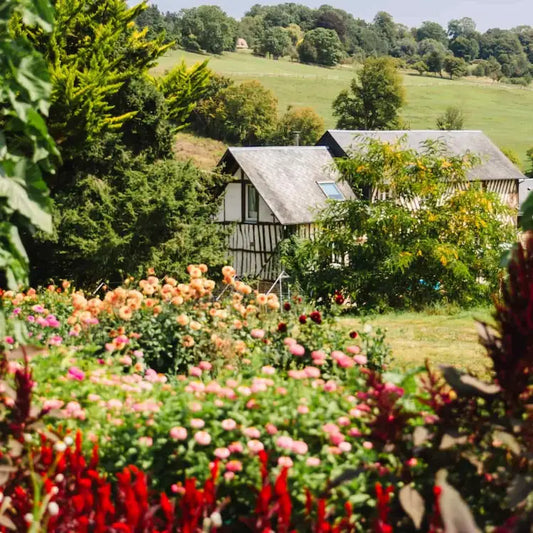 Halte à la ferme florale des Fleurs de la Clarté dans le cadre de la route du cidre en Normandie