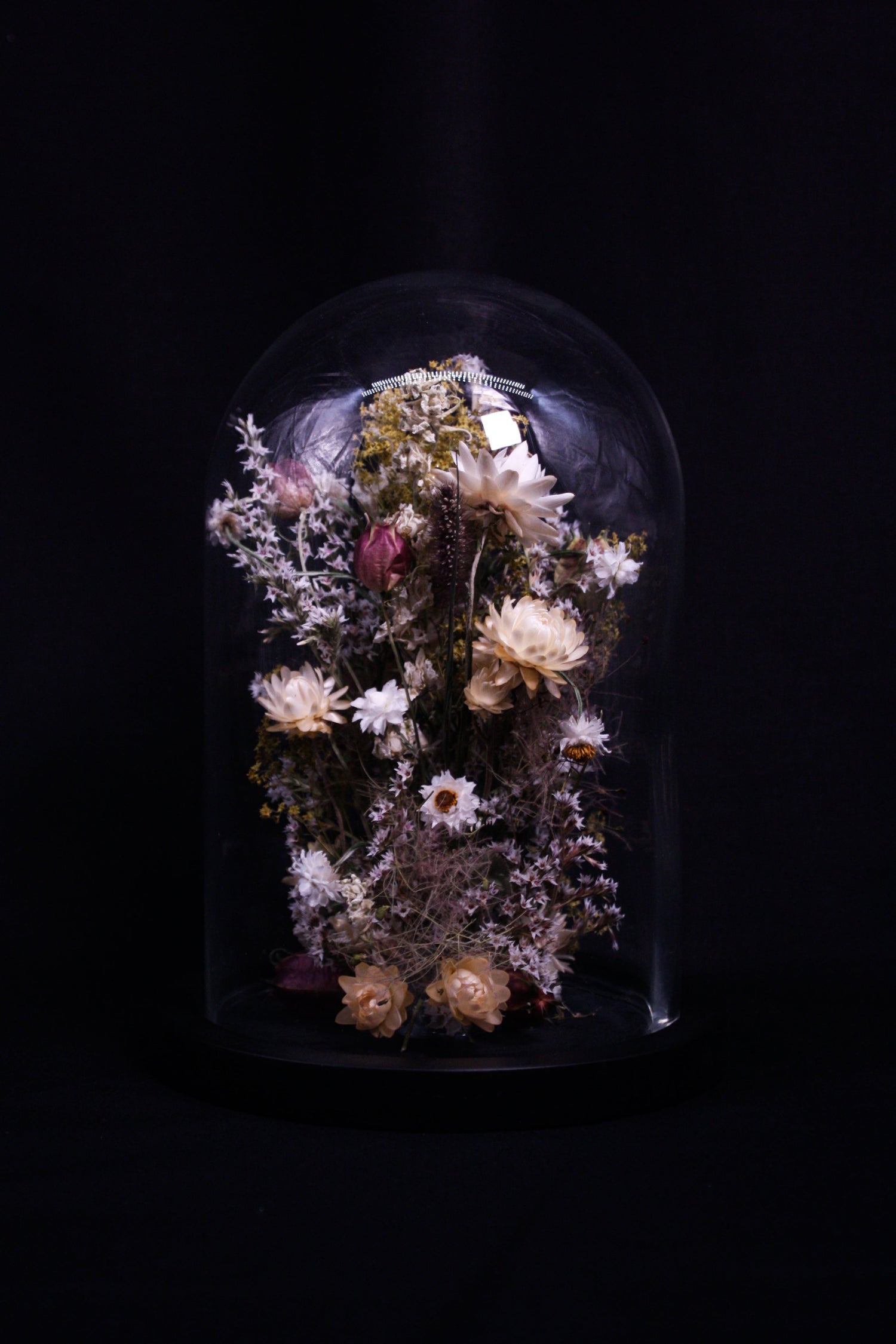 Cloches globes de fleurs séchées