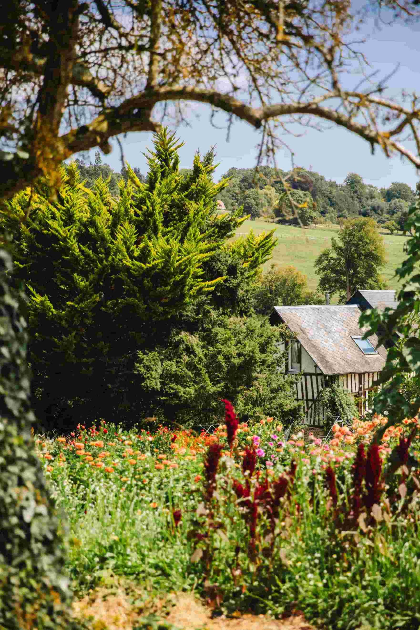Bon-cadeau pour un atelier DIY à la ferme (1 personne)