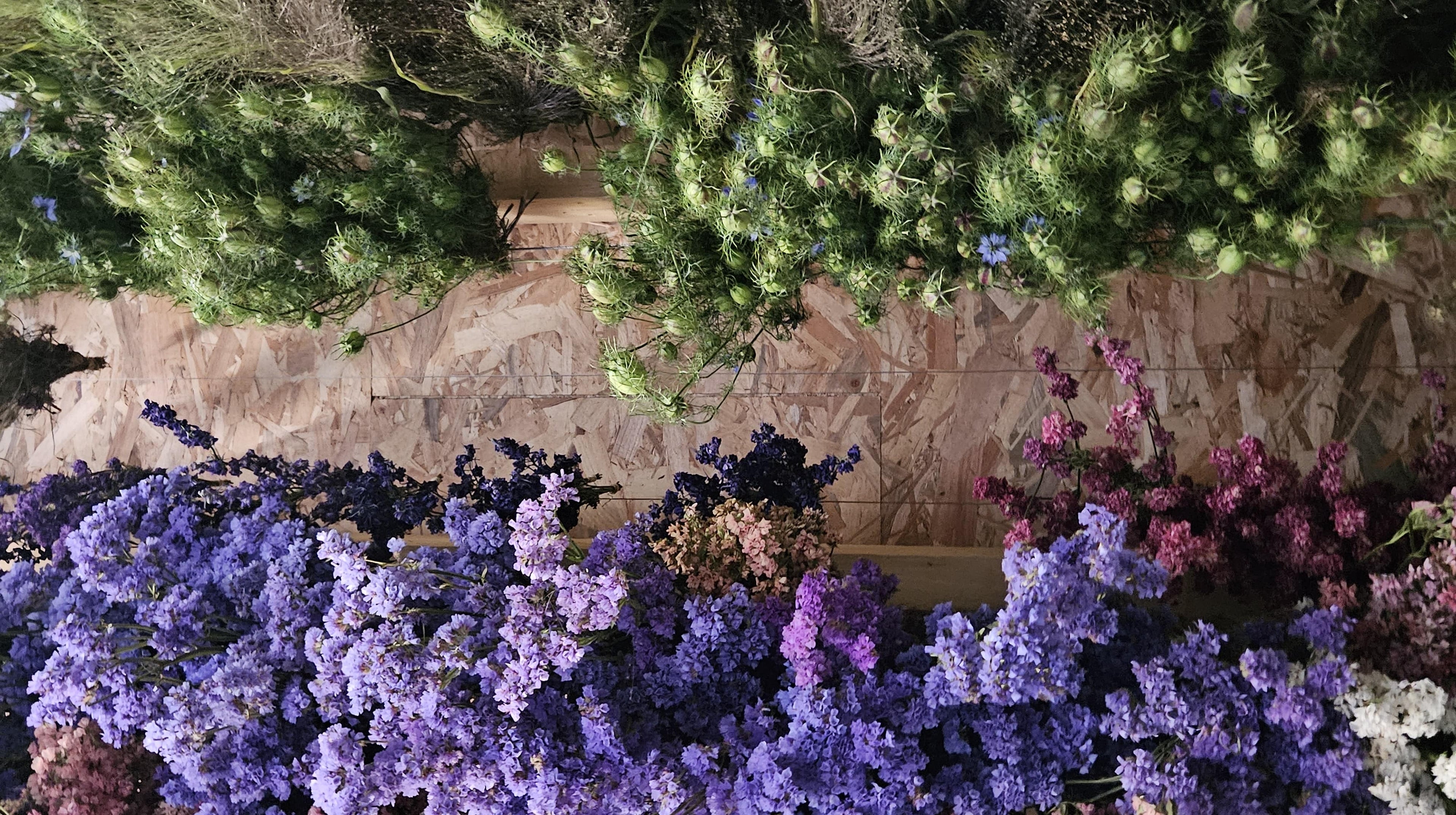 Fleurs séchées boutique nigelle et statice