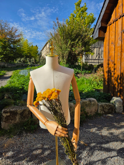 Immortelle jaune séchée