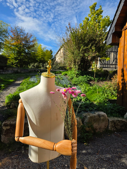 Acroclinium rose séché