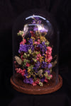Cloche de fleurs séchées - Artémis