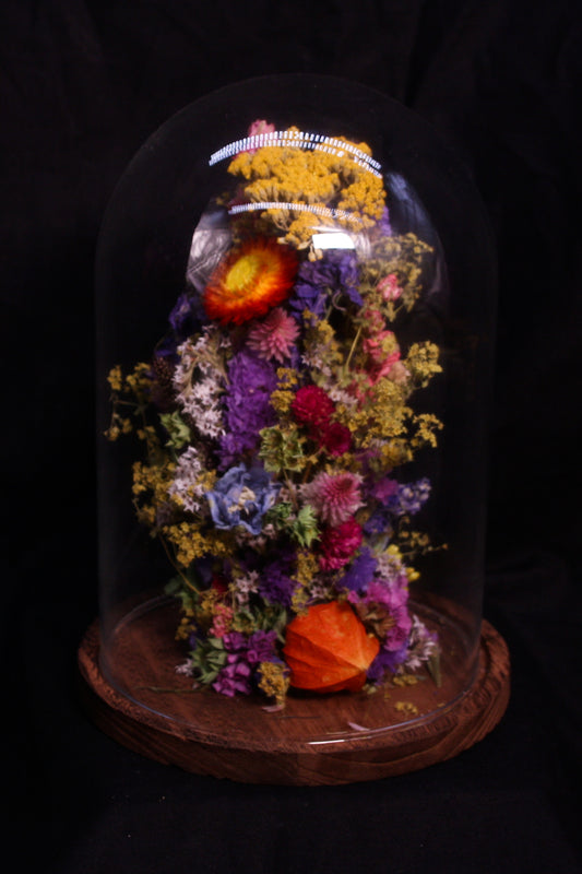 Cloche de fleurs séchées - Cabaret normand