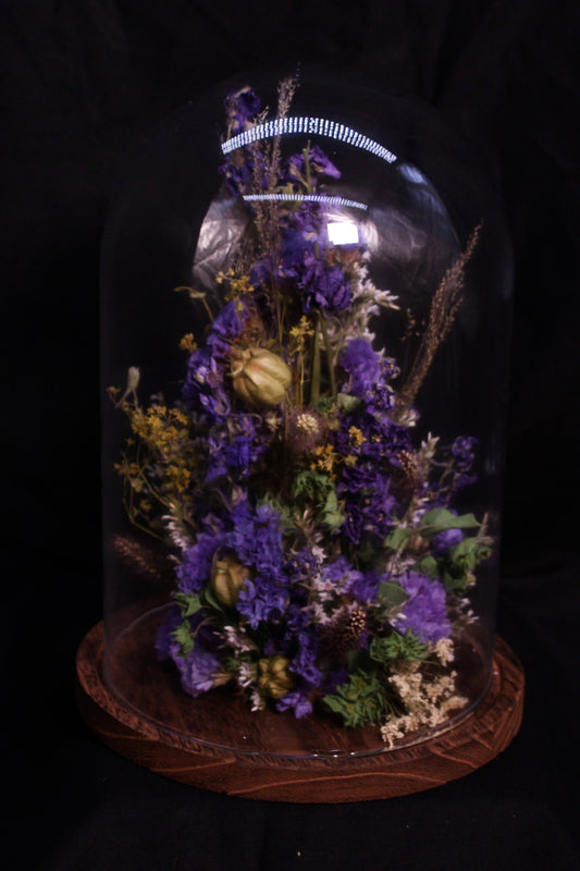 Cloche de fleurs séchées - Clarence à la mer