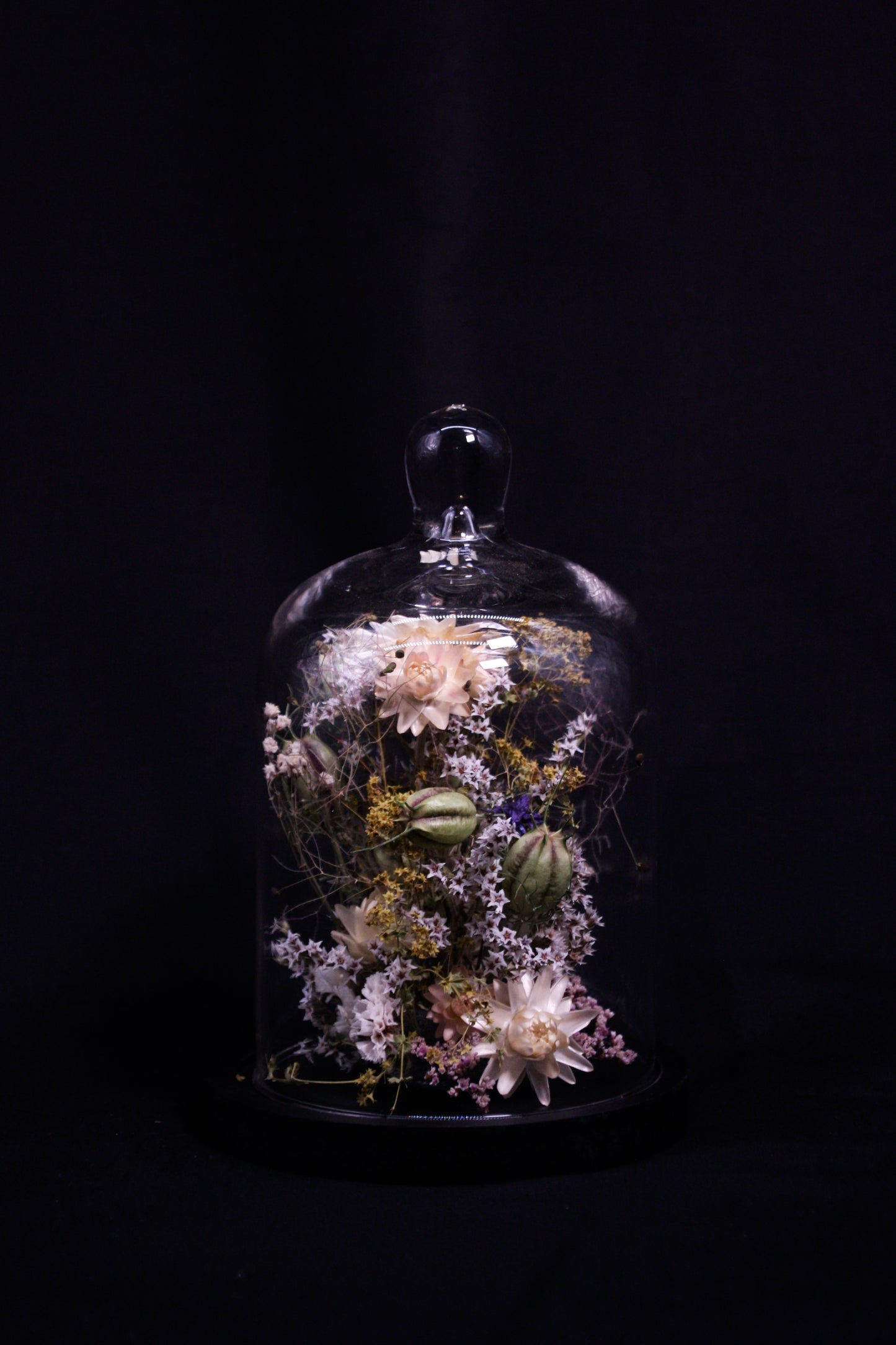 Cloche de fleurs séchées - L'ingénue