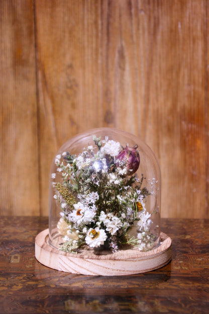 Cloche de fleurs séchées - L'ingénue