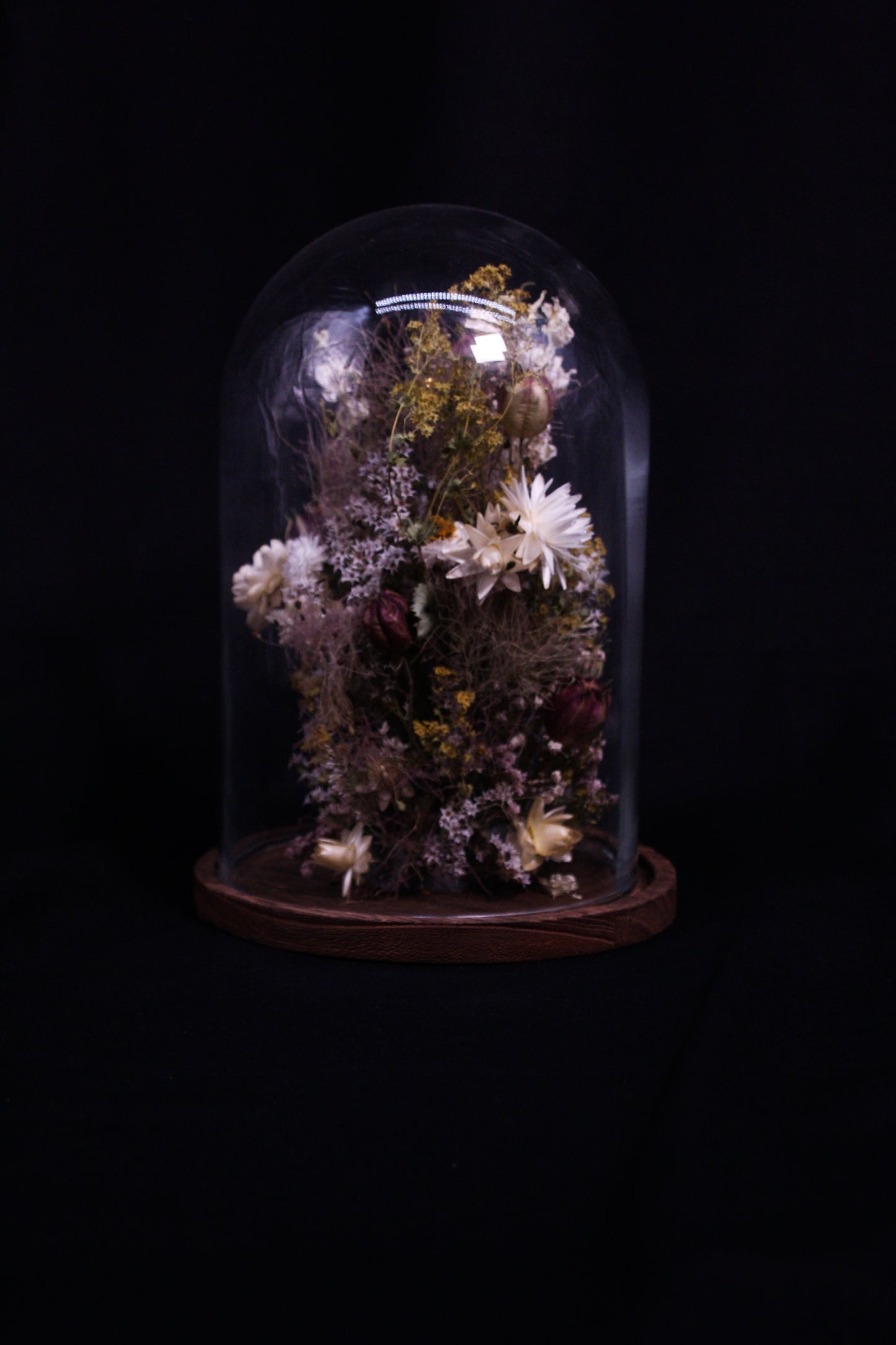 Cloche de fleurs séchées - L'ingénue