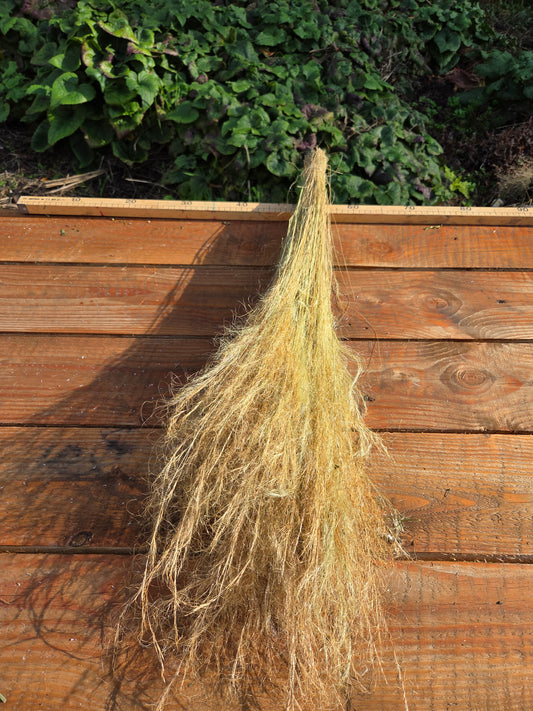 Cheveux d'ange séchés