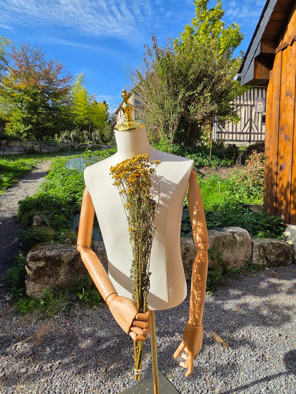 Chasmanthium séché