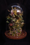 Cloche de fleurs séchées - Thomas forêt