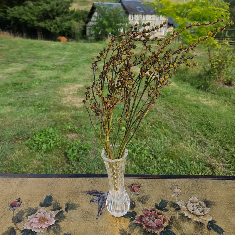 Botte de crocosmia séché, aux longues tiges élégamment arquées portant des capsules de graines décoratives d'un chaud ton orangé et brun.