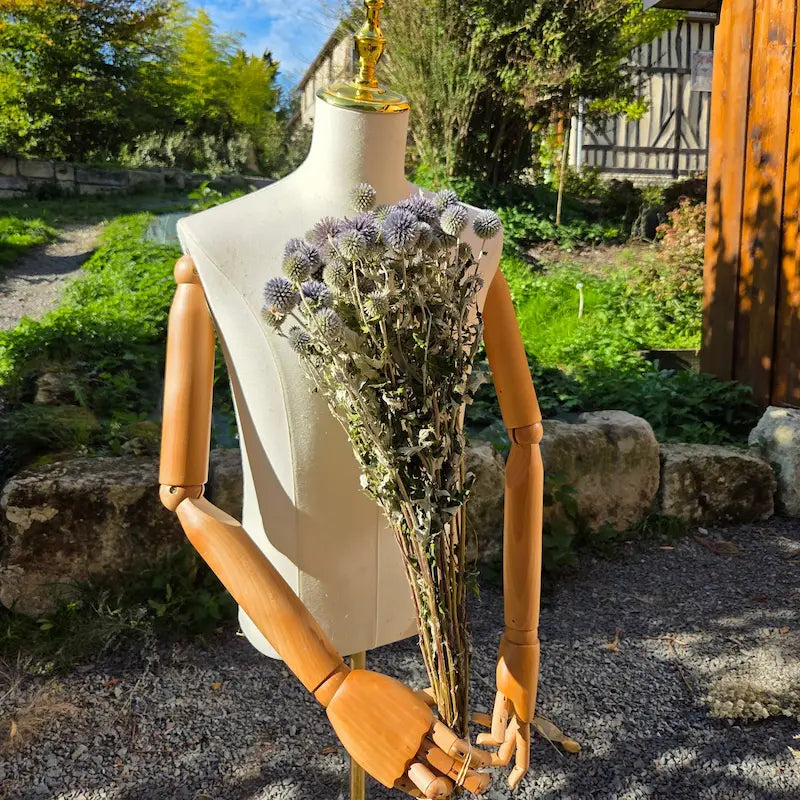 Botte d'Echinops bleu séché, le fameux chardon boule, pour ajouter une touche bleutée, froide et piquante à vos créations en vrac.