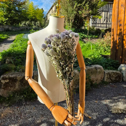 Botte d'Echinops bleu séché, le fameux chardon boule, pour ajouter une touche bleutée, froide et piquante à vos créations en vrac.