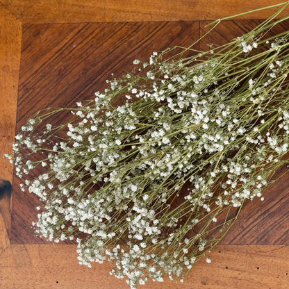 Gypsophile séché blanc naturel