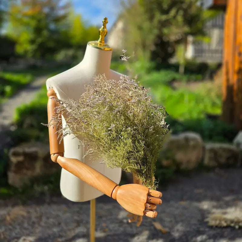 Botte de statice caspia séché, formant un extraordinaire nuage vaporeux de minuscules fleurs lilas, parfait pour remplacer ou suppléer le gypsophile classique.