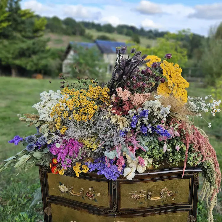 Assortiment abondant de bottes de fleurs séchées naturelles, cultivées et séchées artisanalement dans notre ferme florale en Normandie. Fleurs en vrac pour créations DIY : pampa, eucalyptus, lagurus, hortensia, statice, immortelle.