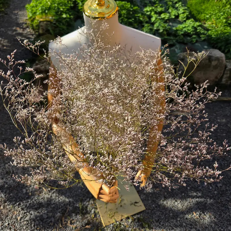Structuration architecturale d'un bouquet séché contemporain et très allongé utilisant judicieusement la géométrie sinueuse et rebelle du limonium blanc.