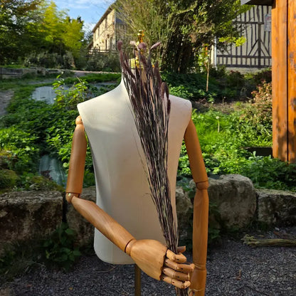 Assemblage d'un bouquet séché contemporain et audacieux structuré autour de la Sétaire noire issue de notre biodiversité.