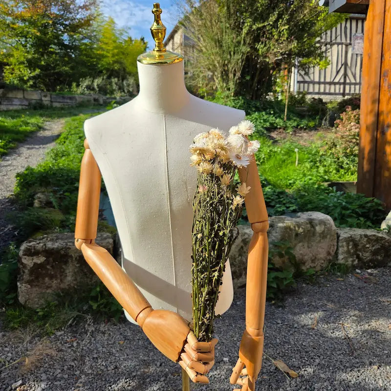 Calibrage rigoureux des tiges rigides d'immortelles blanches, repiquées en plein champ selon l'éthique exigeante du Slow Flower.