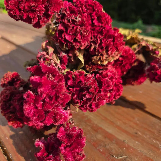 Intégration audacieuse et contemporaine de têtes de célosie crête de coq pour un centre de table DIY au design fort et inoubliable.