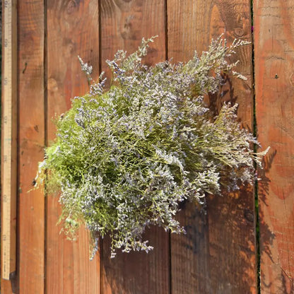 Création DIY attendrissante d'une très fine couronne de tête pour enfant de cortège en utilisant l'extrême souplesse des branches de statice caspia.