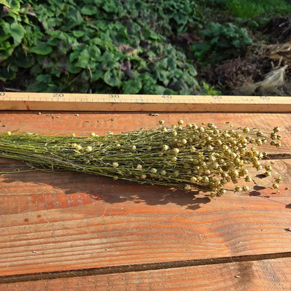 Brassée de lin, véritable plante emblématique de l'histoire et du riche terroir agricole normand, cultivé avec fierté et séché sur place par nos soins.