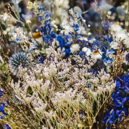 Zoom sur les delphiniums bleus et panicauts sauvages du bouquet marin Cherbourg