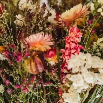 Gros plan sur les immortelles roses vives et le statice blanc du bouquet de fleurs séchées Caen
