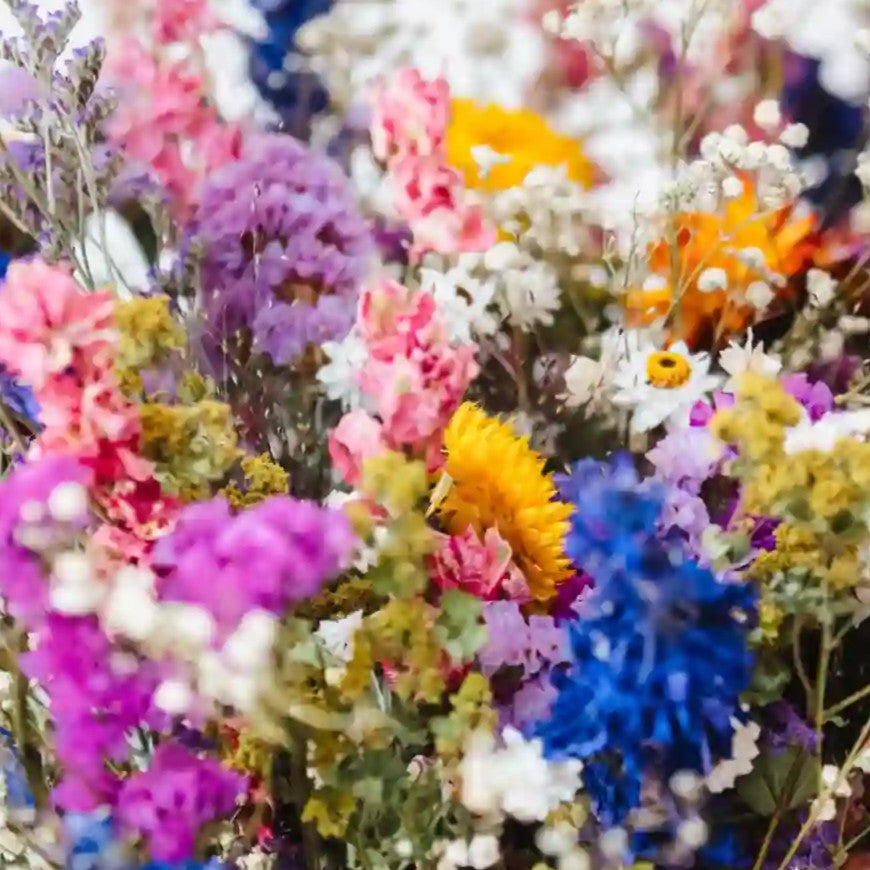 Petit bouquet de fleurs séchées festif aux couleurs vives Granville, fait-main en France