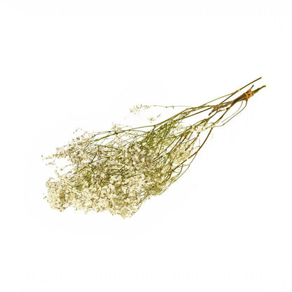 Décoration de mariage bohème chic : Nuage de Gypsophile séché