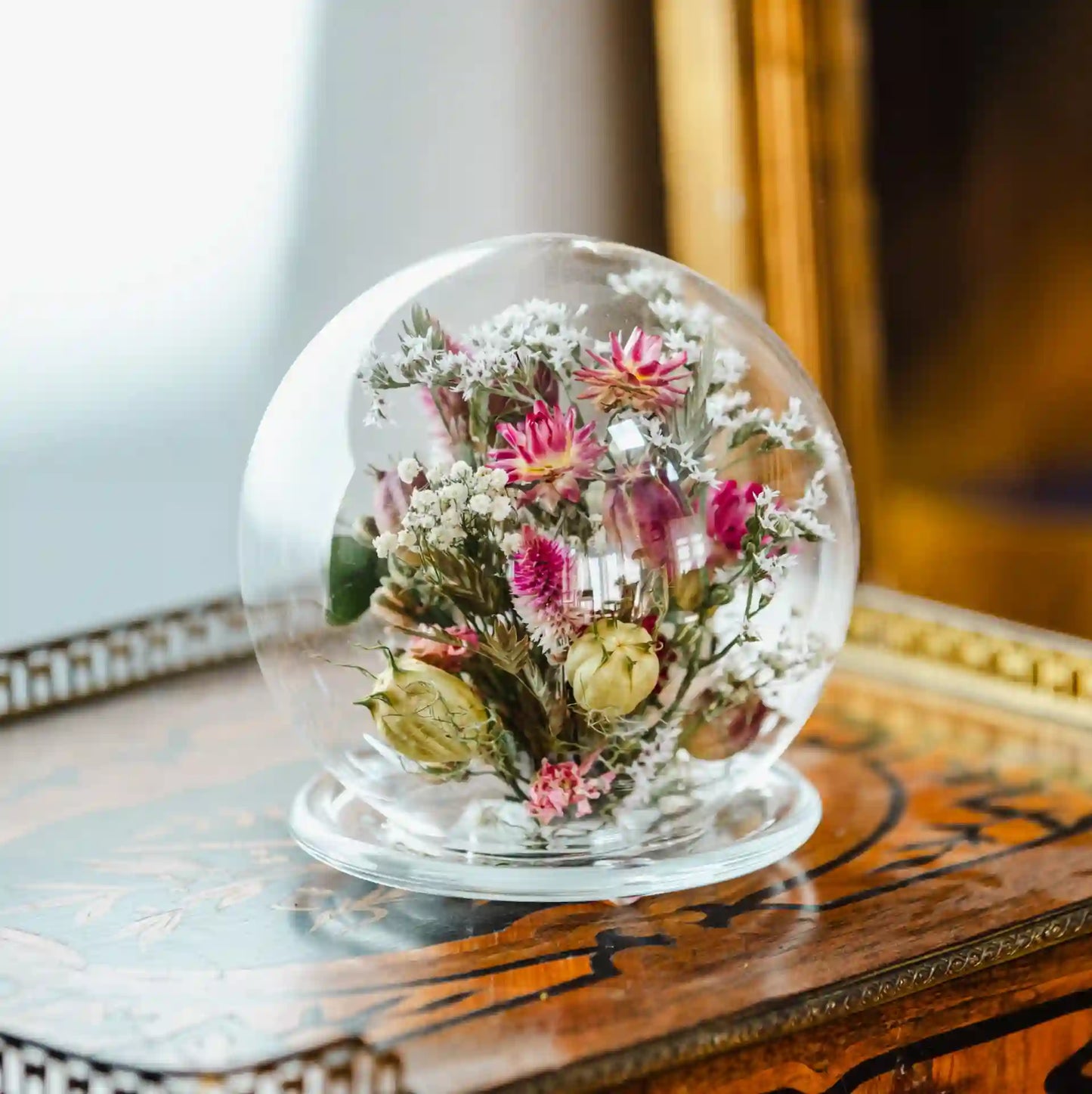 Globe terrarium en verre avec fleurs séchées lumineuses bicolores blanc et rose vif Caen