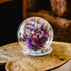 Cloche de fleurs séchées - Ouistreham