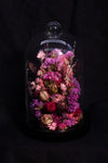 Cloche de fleurs séchées - Solal la vie en rose