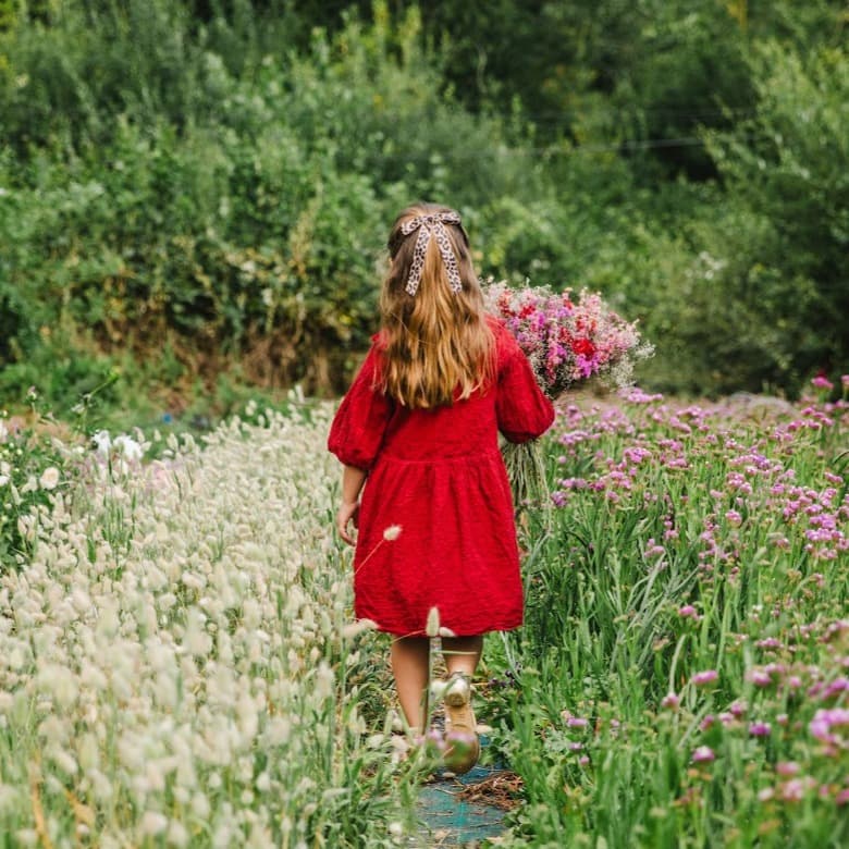 Petite fille de dos marchant avec un grand bouquet de fleurs séchées dans les champs de la ferme florale Fleurs de la Clarté en Normandie.