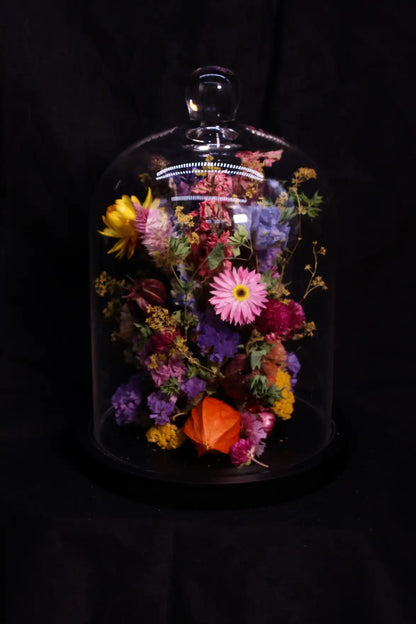 Composition de fleurs séchées sous cloche artisanale en verre avec socle en bois.