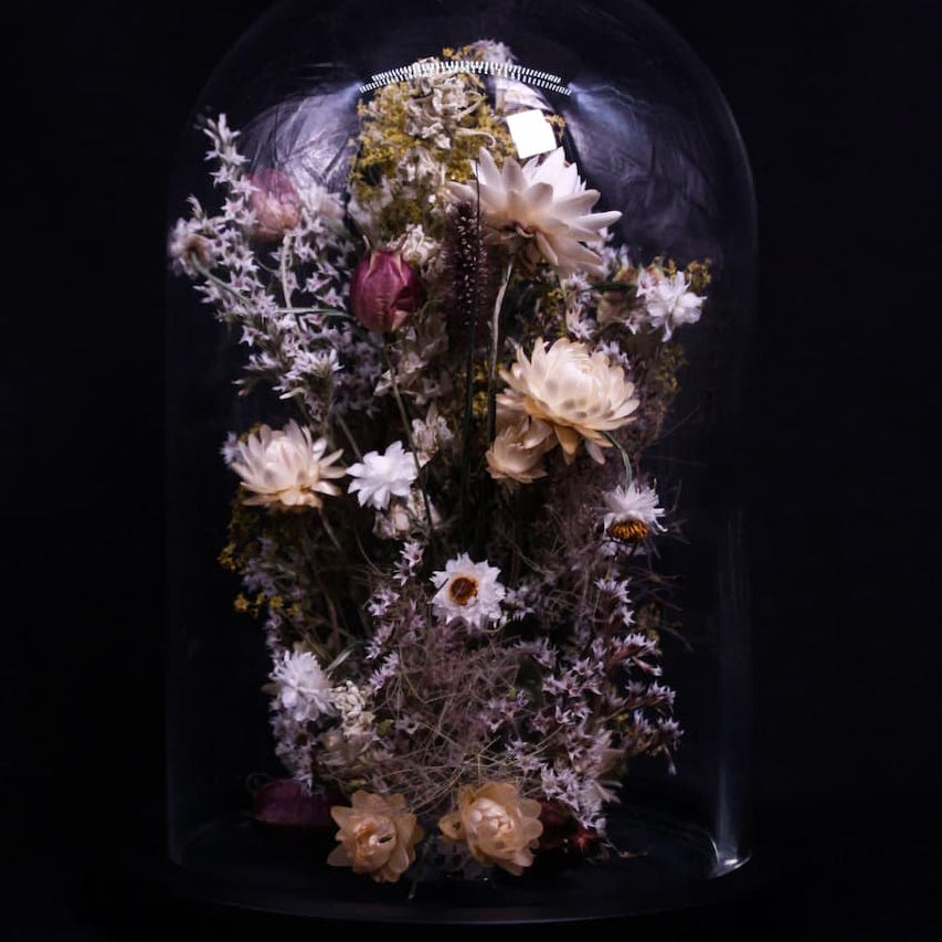 Globe en verre avec composition de fleurs séchées blanches et naturelles sur fond noir, style cabinet de curiosités.