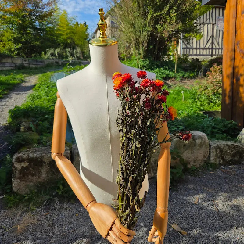 Botte généreuse d'immortelles oranges, une production 100% normande soutenant activement l'économie et le savoir-faire agricole local.