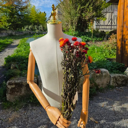 Botte généreuse d'immortelles oranges, une production 100% normande soutenant activement l'économie et le savoir-faire agricole local.