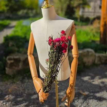 Inspection de la régularité des tiges d'immortelles roses, produites de la graine au bouquet par la ferme naturelle Fleurs de la Clarté.