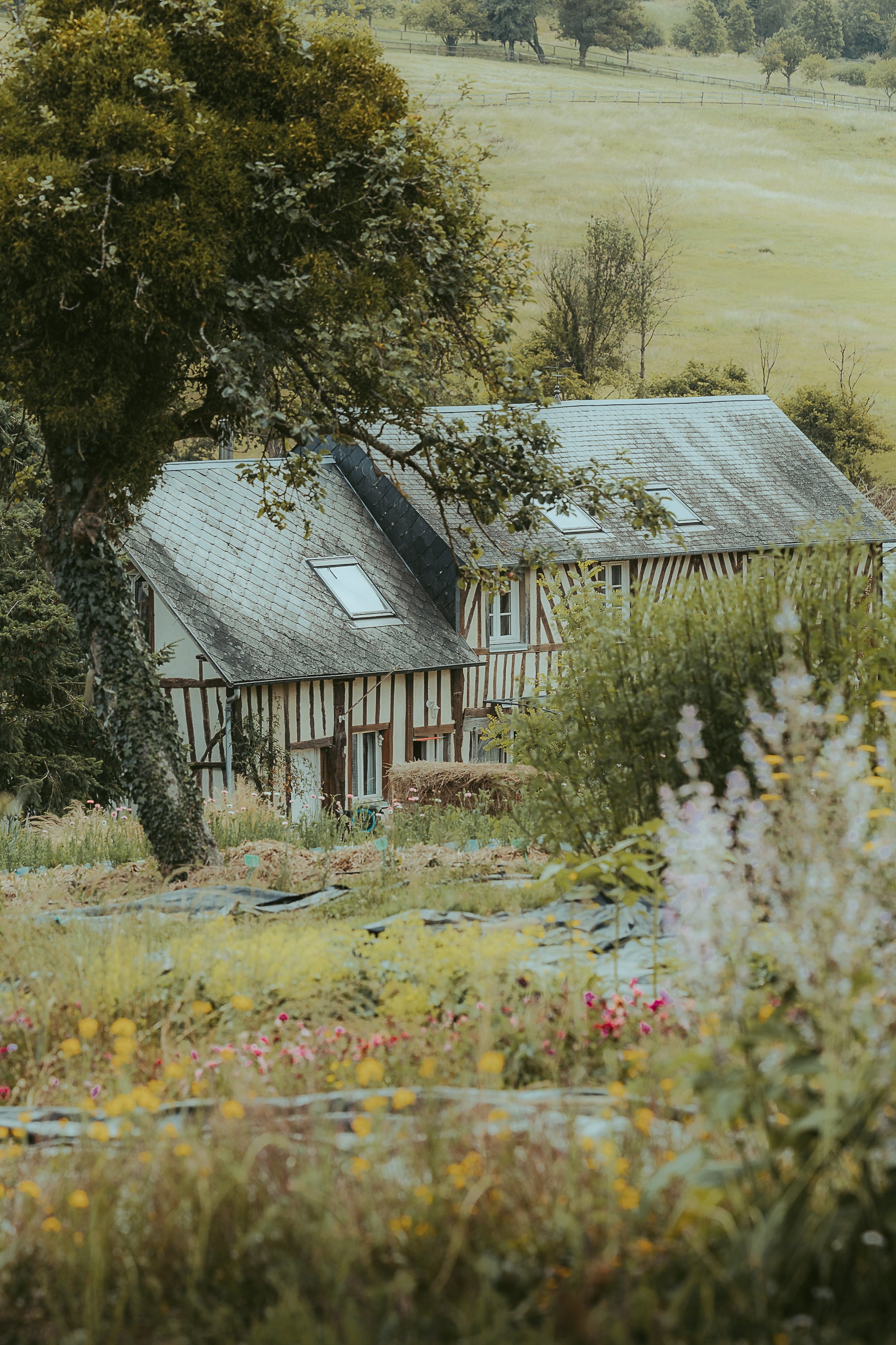 Ferme florale des Fleurs de la Clarté une ferme qui fleurit les mariages dans toute la Normandie. 